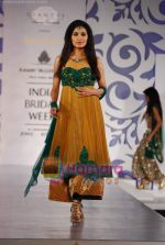 Model walks the ramp for Archana Kocchar at Aamby Valley India Bridal Week day 5 on 2nd Nov 2010 (81).JPG